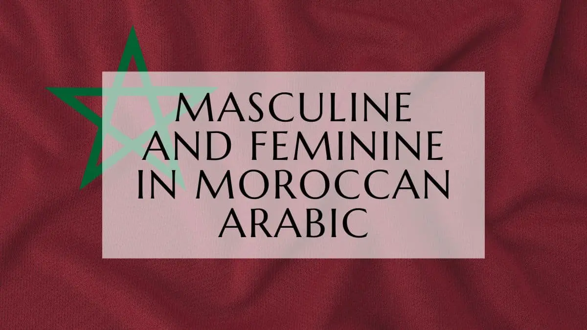Masculine and Feminine In Moroccan Arabic darija