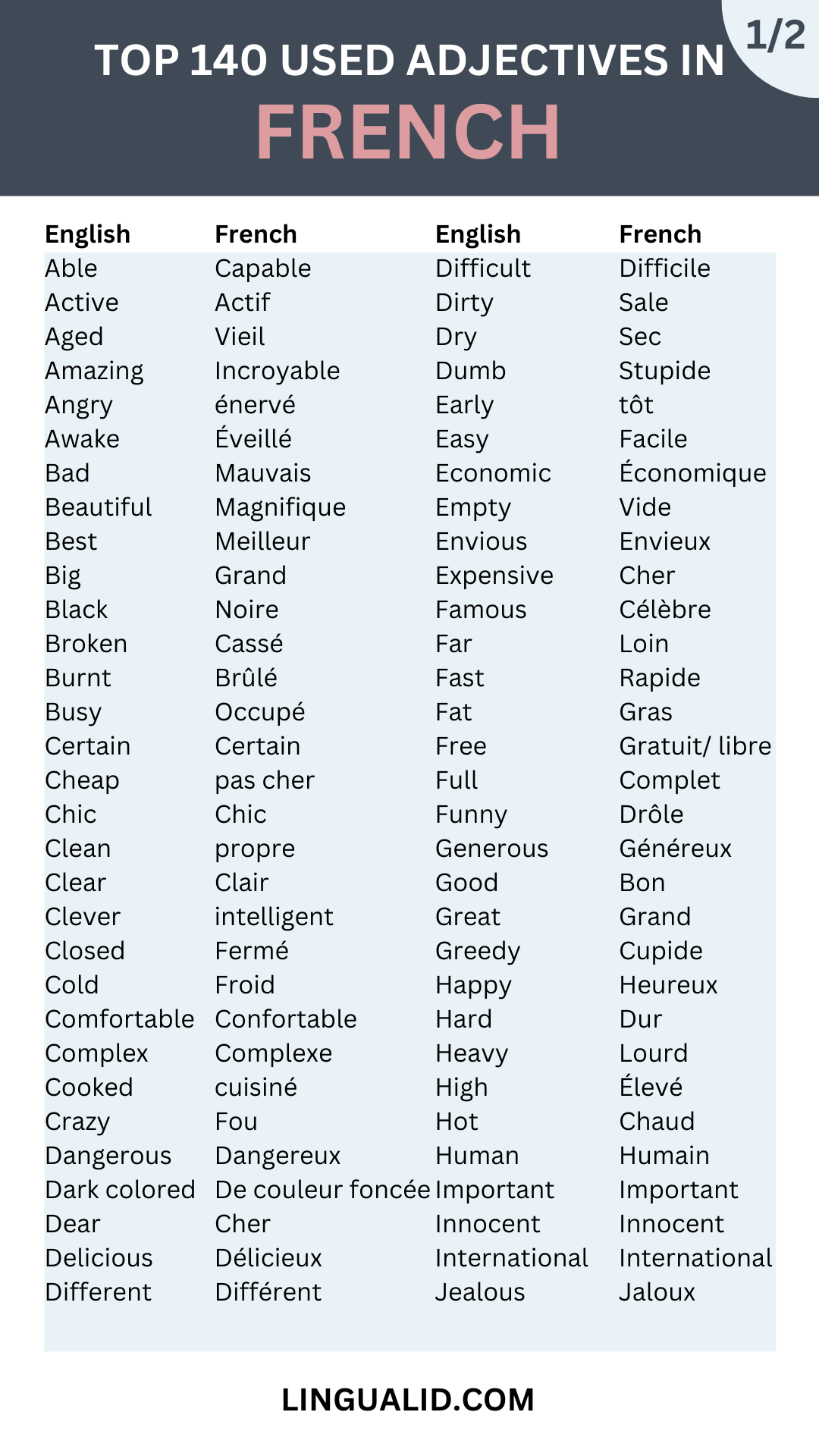 Top 140 Common Adjectives In French AUDIO Included Lingualid