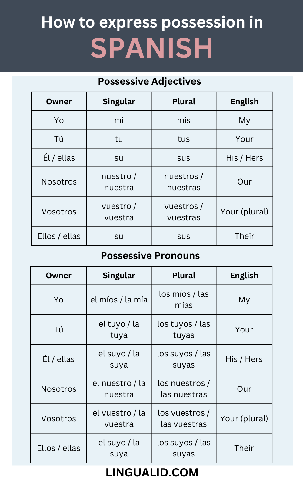 How to express possession in Spanish visual large