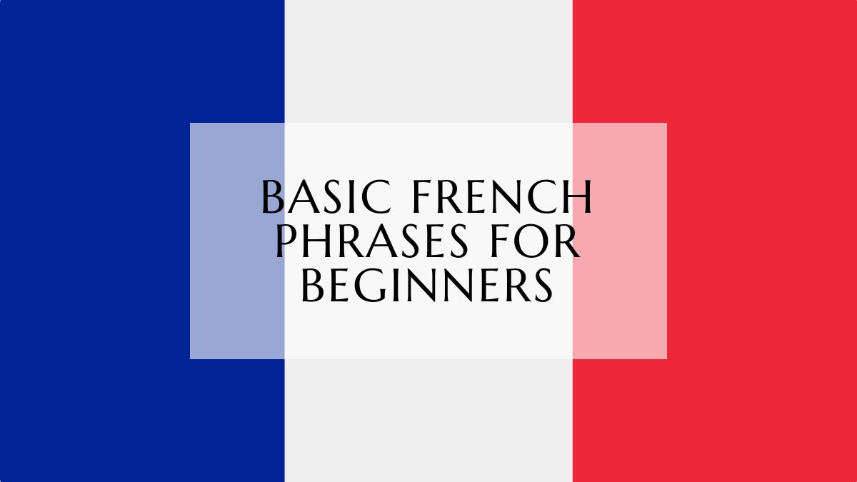 basic french phrases for beginners