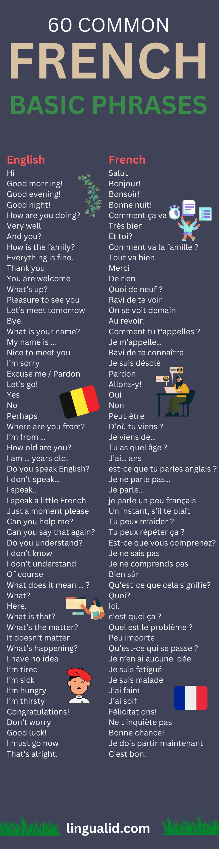 basic french phrases visual