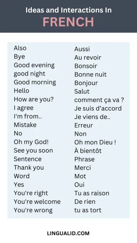 ideas and interactions in french