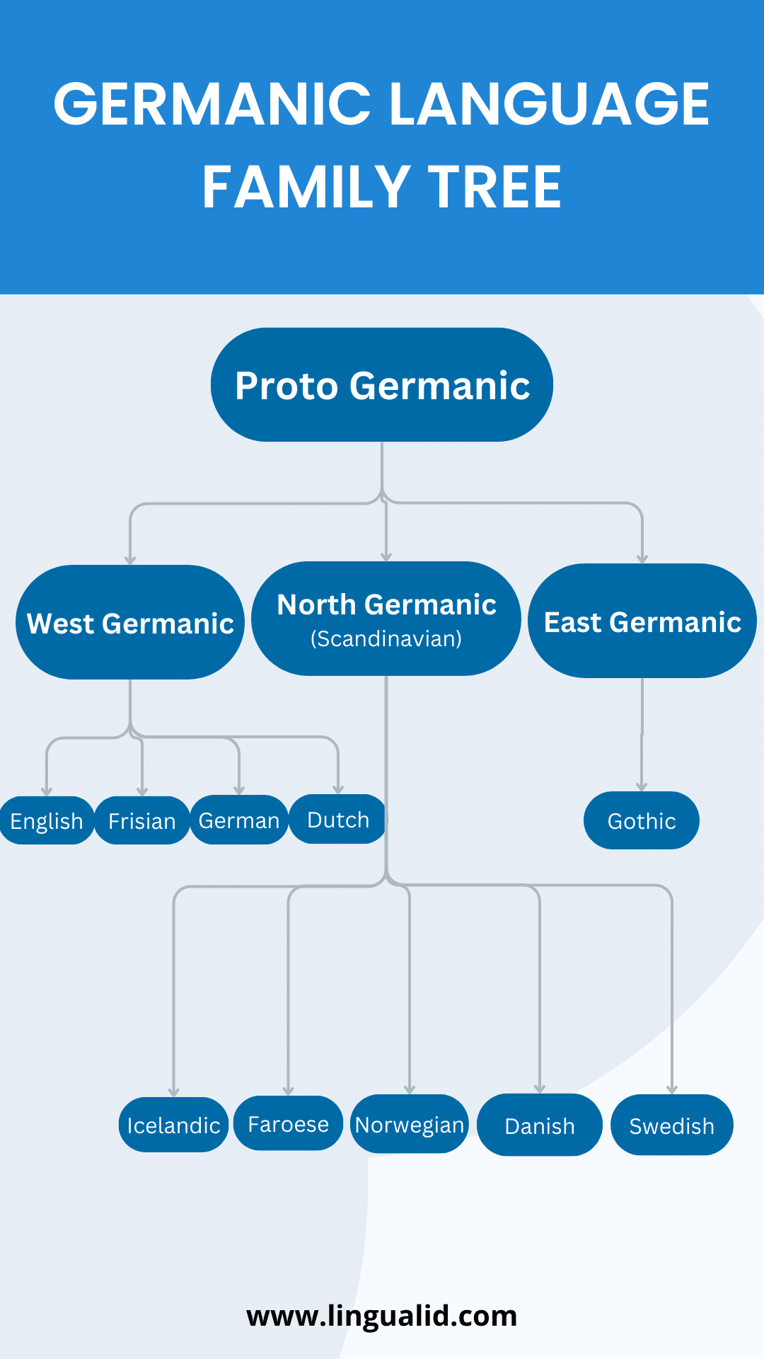 Germanic Languages: A Comprehensive Guide - Lingualid