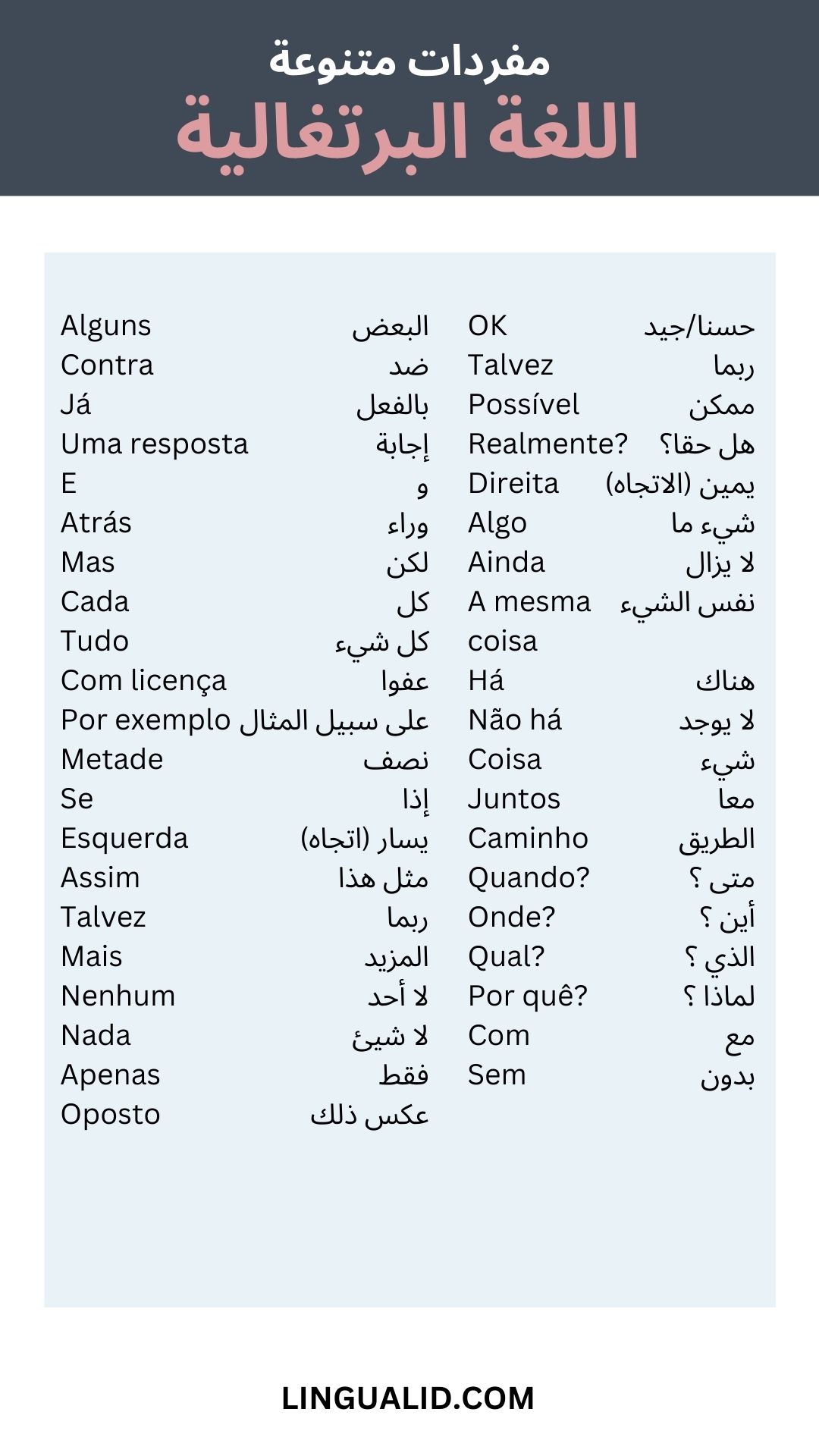 أهم كلمة اللغة البرتغالية مفردات متنوعة