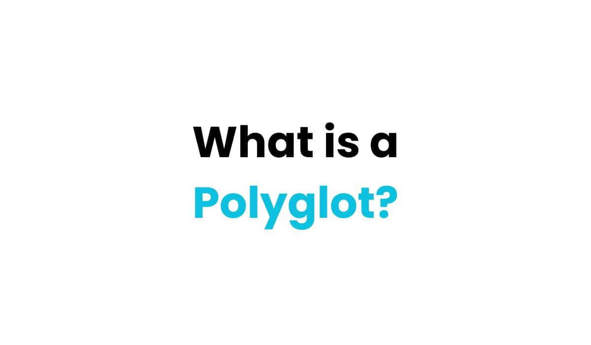 Polyglot definition