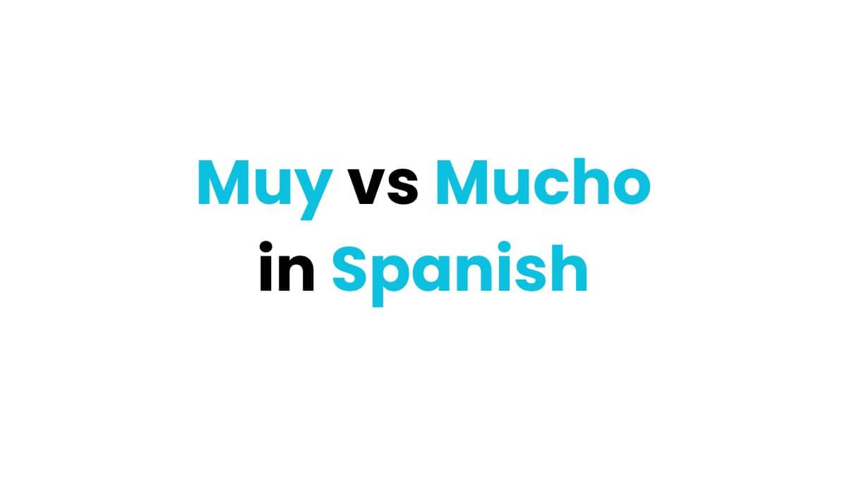 muy vs mucho in spanish fi