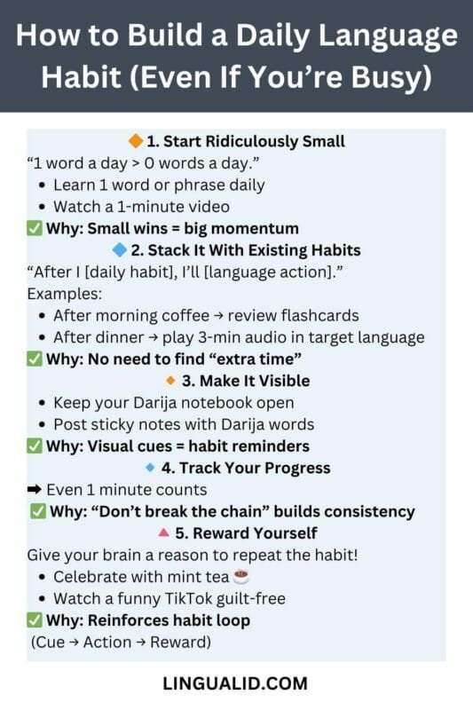 How to Build a Daily Language Habit (Even If You're Busy) - Lingualid