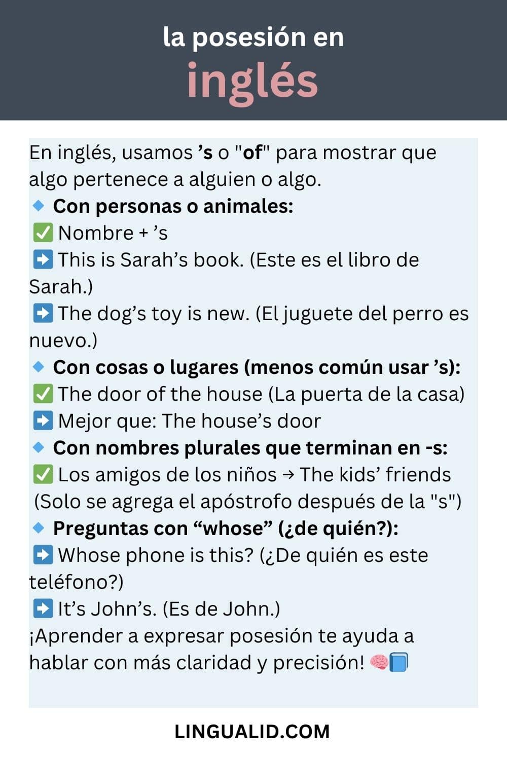 la posesión en inglés visual