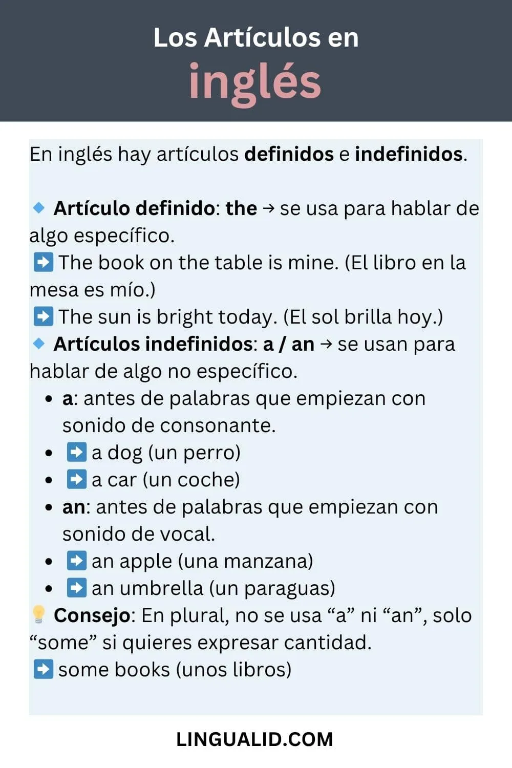 Los Artículos en Inglés visual